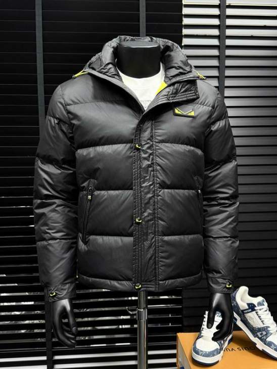 Picture of Fendi Down Jackets _SKUFendiM-3XL25wx4037727